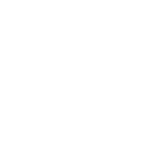 Home Icon